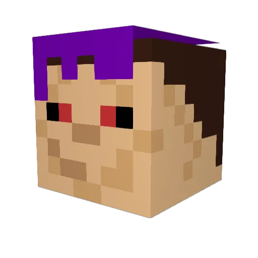 Tumblweedninja Minecraft avatar head, 3D render