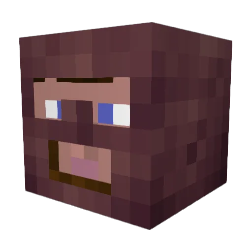 Tume_Fin Minecraft avatar head, 3D render