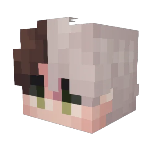 Tummis_ Minecraft avatar head, 3D render