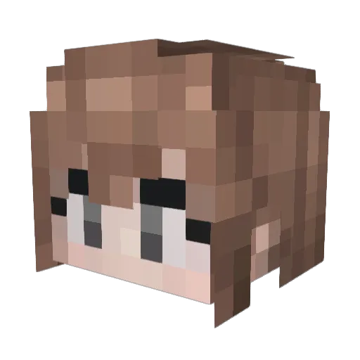 TummyAkira Minecraft avatar head, 3D render