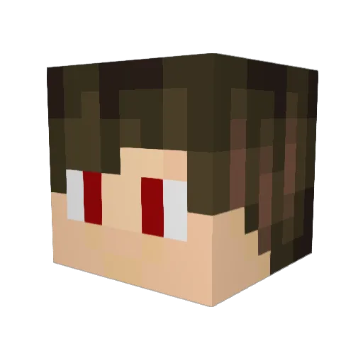 TunAP_ Minecraft avatar head, 3D render