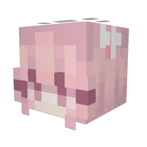 TunRIPs Minecraft avatar head, 3D render