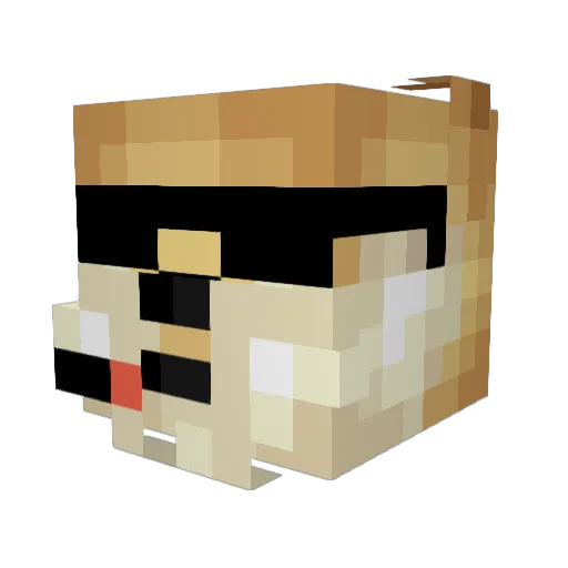 TunaExists Minecraft avatar head, 3D render