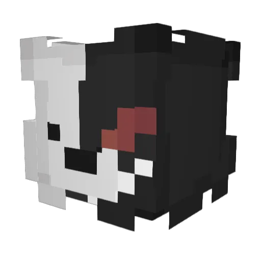 TunaF1shh Minecraft avatar head, 3D render