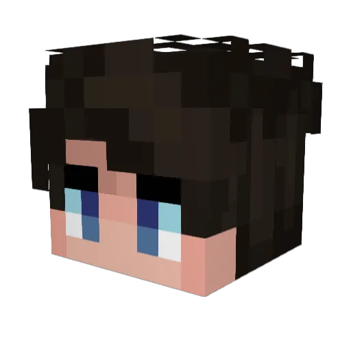 TunaPines Minecraft avatar head, 3D render