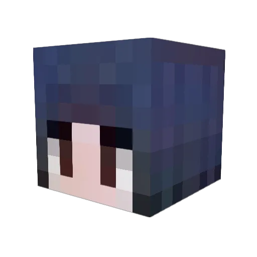 TunaPlays Minecraft avatar head, 3D render