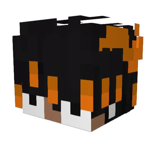 TunaSem Minecraft avatar head, 3D render
