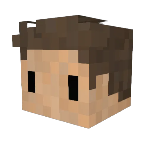 Tuna__Salad Minecraft avatar head, 3D render