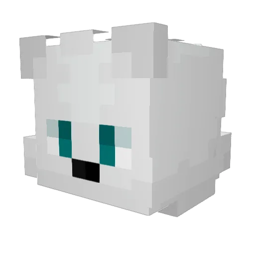 Tunacus Minecraft avatar head, 3D render