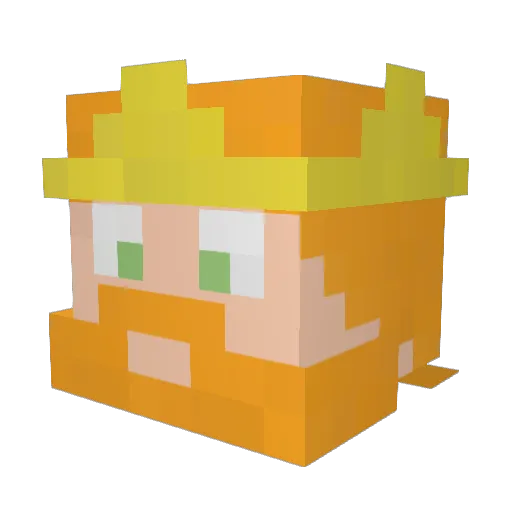 Tunafish22 Minecraft avatar head, 3D render