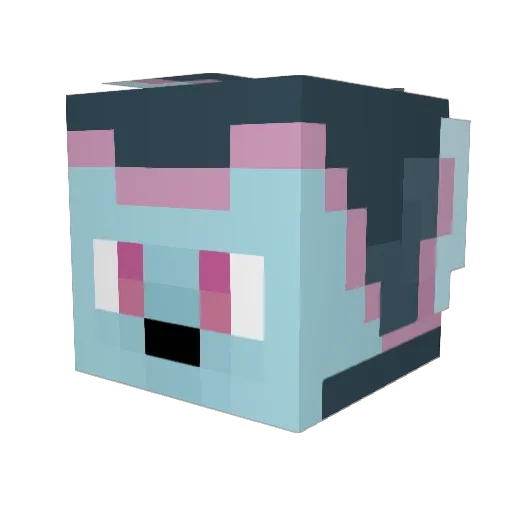 Tunafish6803 Minecraft avatar head, 3D render