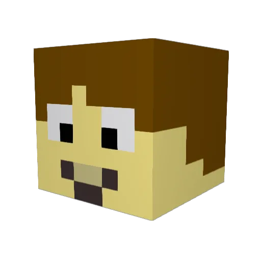 Tunahan3757 Minecraft avatar head, 3D render