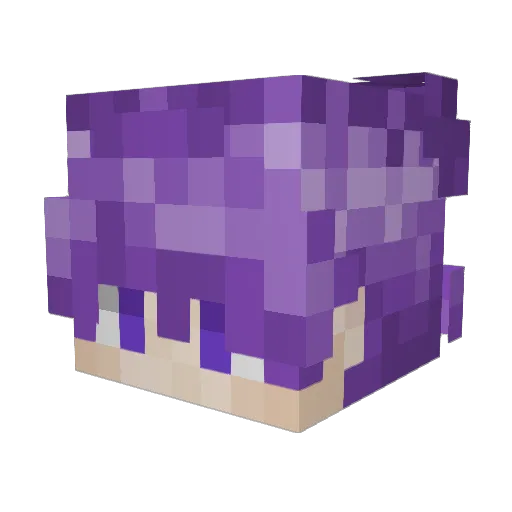 Tundgil Minecraft avatar head, 3D render