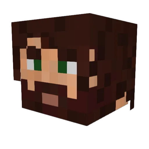 Tundini Minecraft avatar head, 3D render