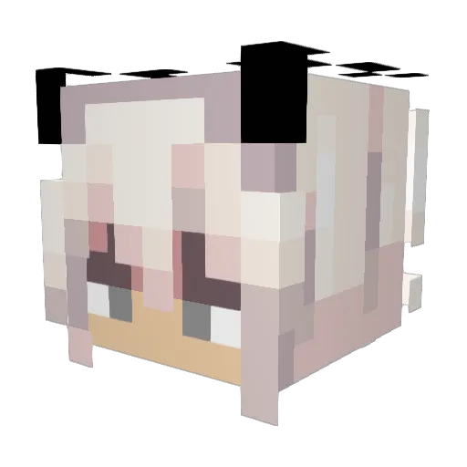 Tundra146 Minecraft avatar head, 3D render