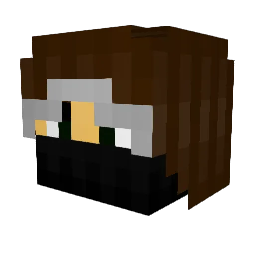 Tundrik29 Minecraft avatar head, 3D render
