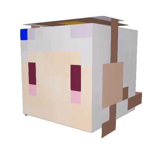 Tunefy0728 Minecraft avatar head, 3D render