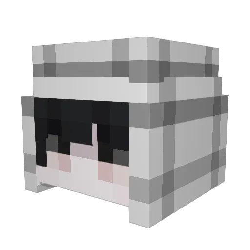 Tuney Minecraft avatar head, 3D render