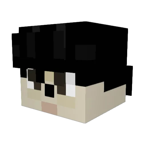 TungstenGose Minecraft avatar head, 3D render