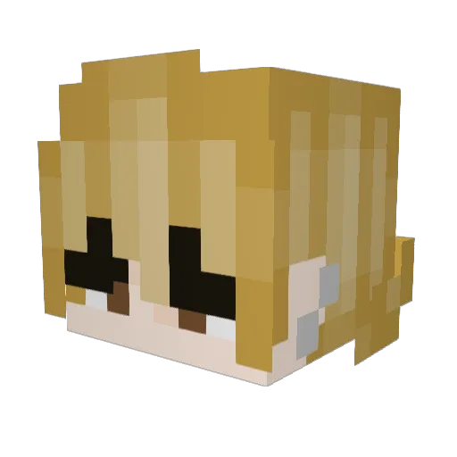 Tunickk Minecraft avatar head, 3D render