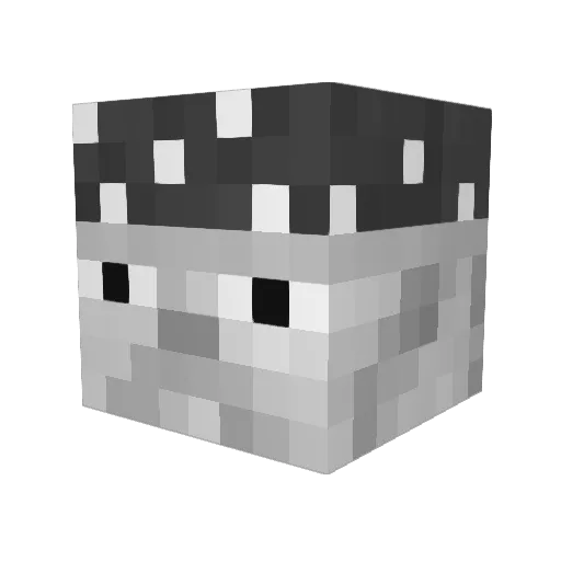 Tunico224 Minecraft avatar head, 3D render