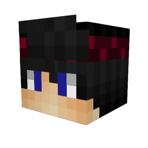 Tunihan Minecraft avatar head, 3D render