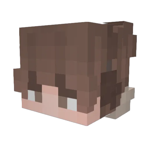 TunneHD Minecraft avatar head, 3D render