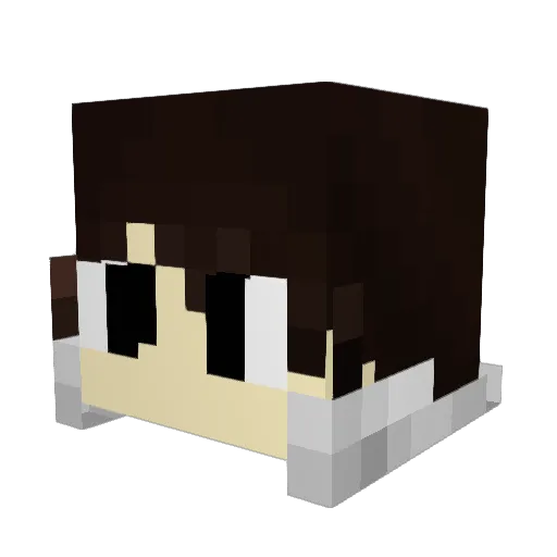 Tunusian354 Minecraft avatar head, 3D render