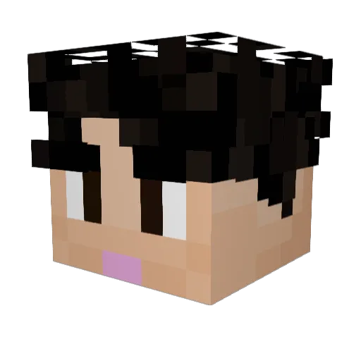 Tuoy Minecraft avatar head, 3D render
