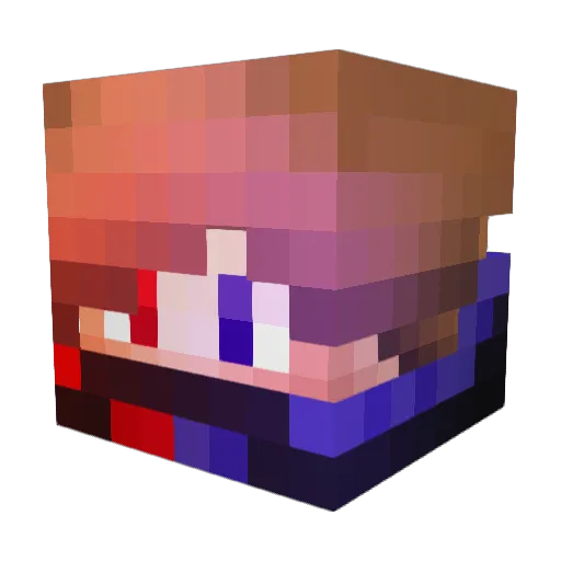 Tupa_X Minecraft avatar head, 3D render