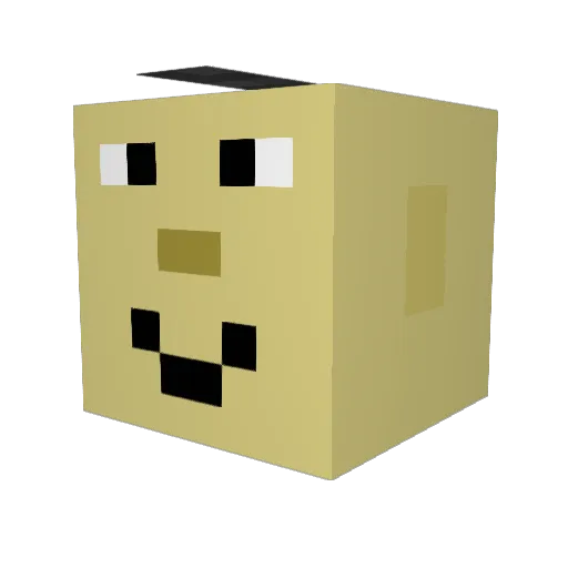 Tupikson Minecraft avatar head, 3D render
