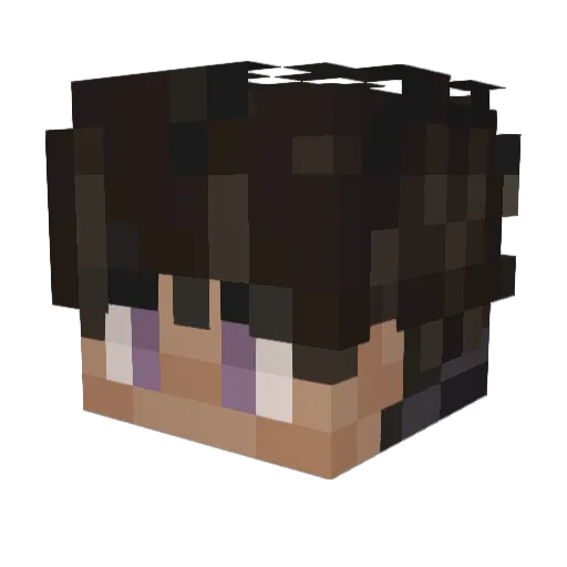 TuplaTaiKuitti Minecraft avatar head, 3D render