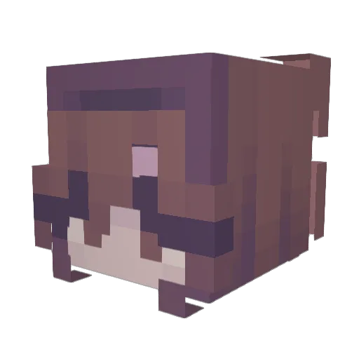 Tur6oVase Minecraft avatar head, 3D render