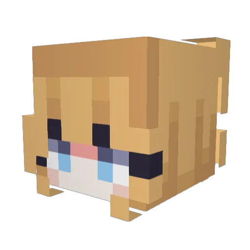 TurTleALK Minecraft avatar head, 3D render