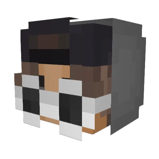 Turb04 Minecraft avatar head, 3D render