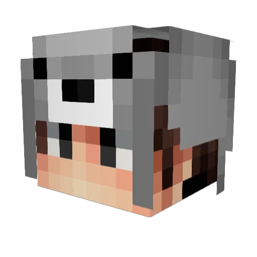 Turbo27 Minecraft avatar head, 3D render