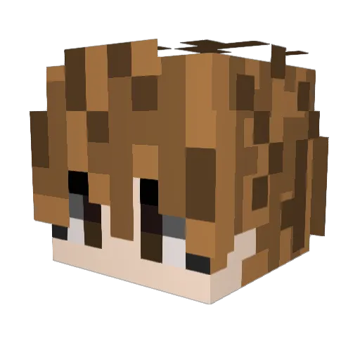 TurboCarbon Minecraft avatar head, 3D render