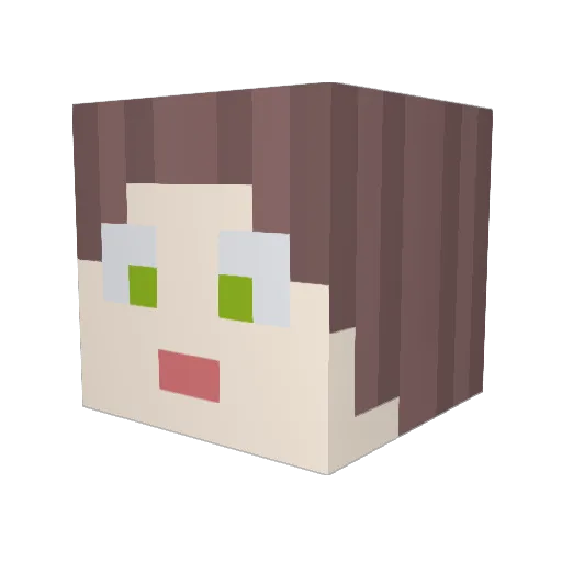 TurboDog2B Minecraft avatar head, 3D render
