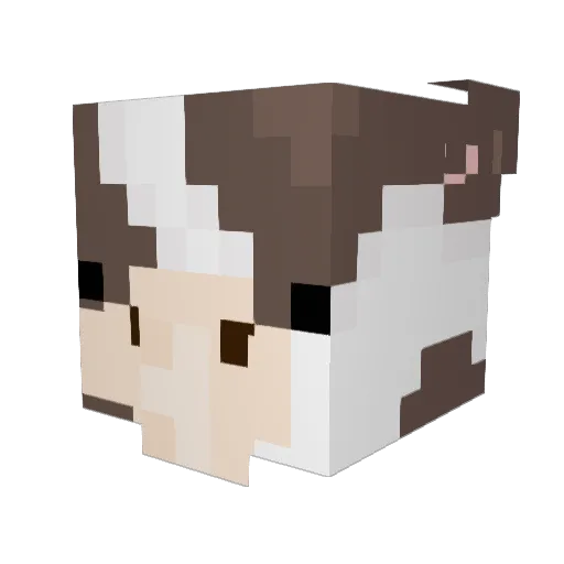 TurboEvan Minecraft avatar head, 3D render