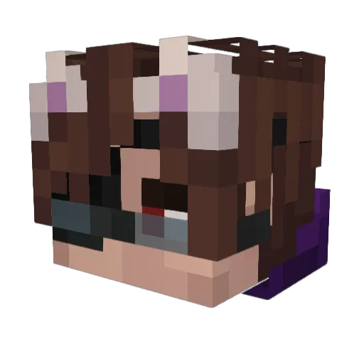TurboFrogg Minecraft avatar head, 3D render
