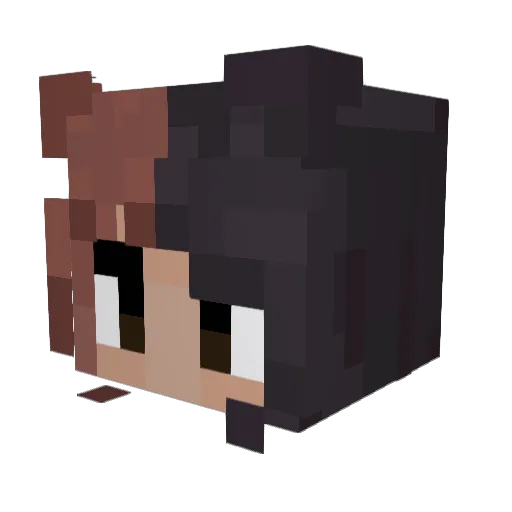 TurboJugg Minecraft avatar head, 3D render