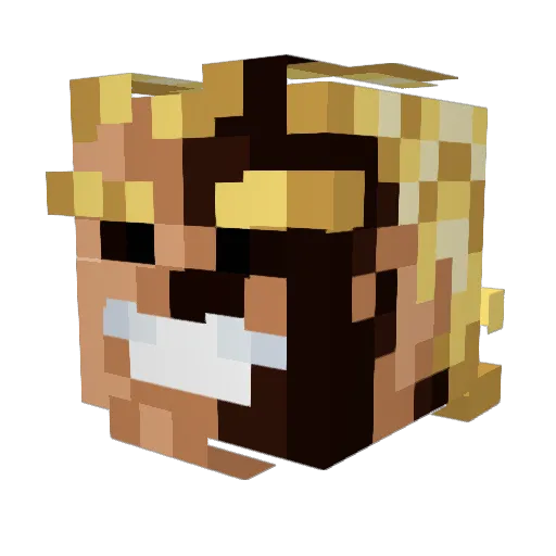 TurboNK Minecraft avatar head, 3D render