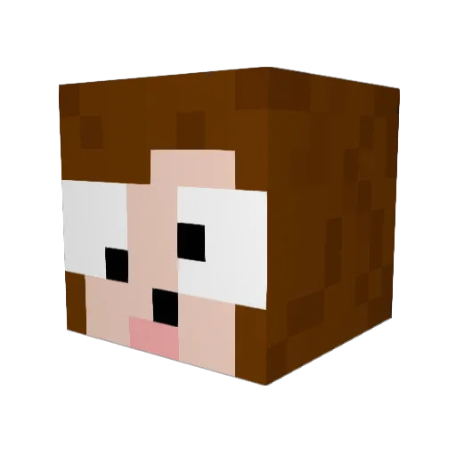 TurboPingu Minecraft avatar head, 3D render