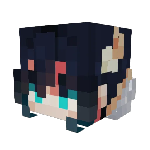 TurboTobi1402 Minecraft avatar head, 3D render