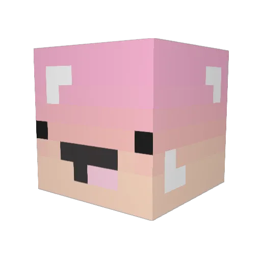TurboTom263 Minecraft avatar head, 3D render