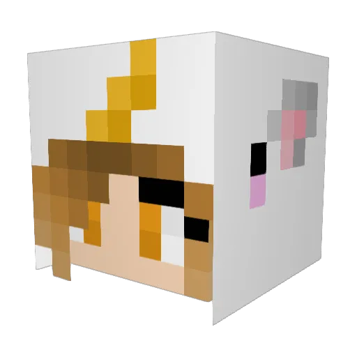 TurboTonnesen Minecraft avatar head, 3D render