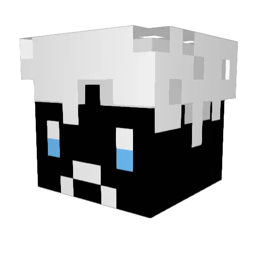 Turbo_Assassin Minecraft avatar head, 3D render
