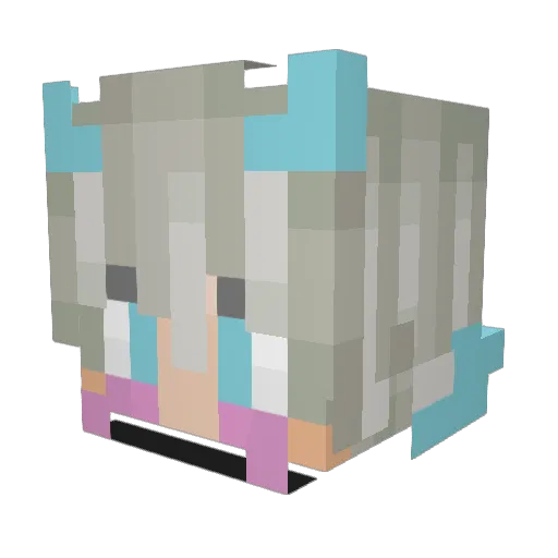Turbo_Isaac Minecraft avatar head, 3D render