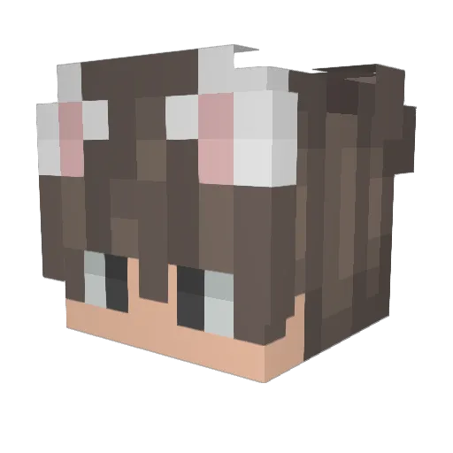 Turbo_Skeleton69 Minecraft avatar head, 3D render