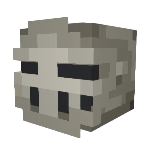 Turbos_Skeron Minecraft avatar head, 3D render